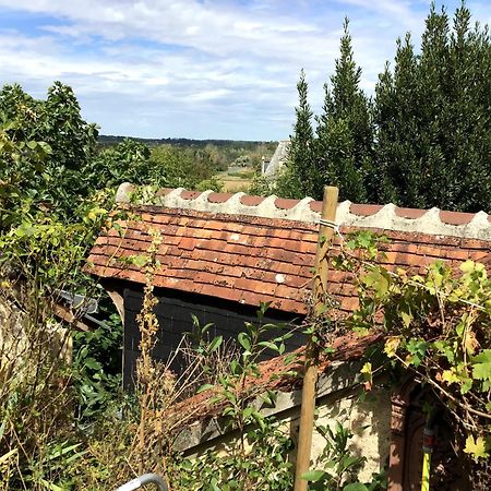 La Maison Bleue De Husseau Ancienne Ferme Semi-Troglodytique 18E Siecle Villa Монлюис-сюр-Лоар Екстериор снимка