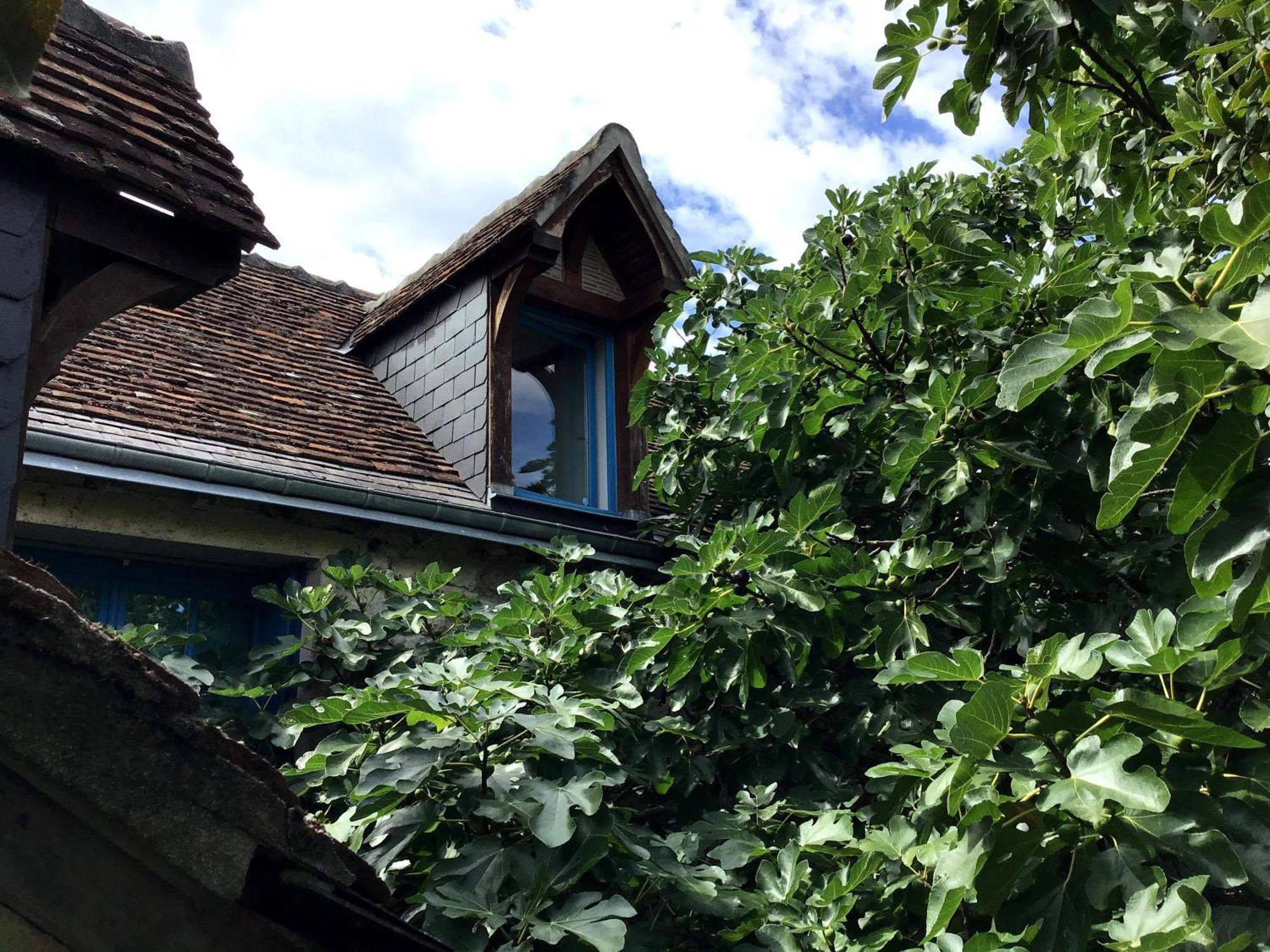 La Maison Bleue De Husseau Ancienne Ferme Semi-Troglodytique 18E Siecle Villa Монлюис-сюр-Лоар Екстериор снимка